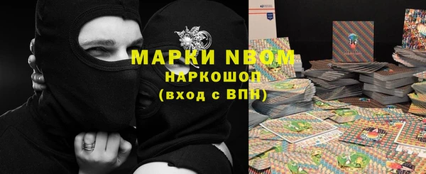 ПСИЛОЦИБИНОВЫЕ ГРИБЫ Алзамай