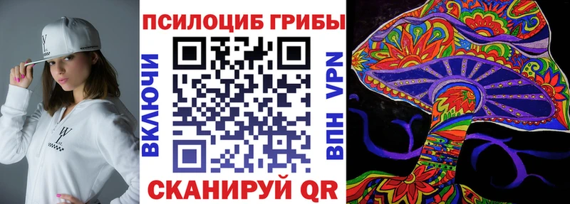 blacksprut как войти  Заполярный  Галлюциногенные грибы мицелий 